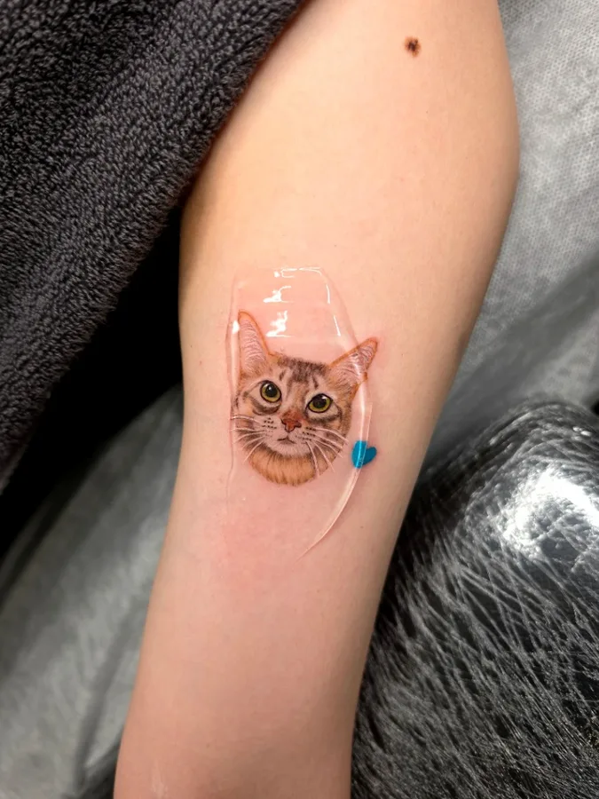 ペットタトゥー専門彫師Takeのカラーのリアリスティックのワンポイントの猫のタトゥー（腕）