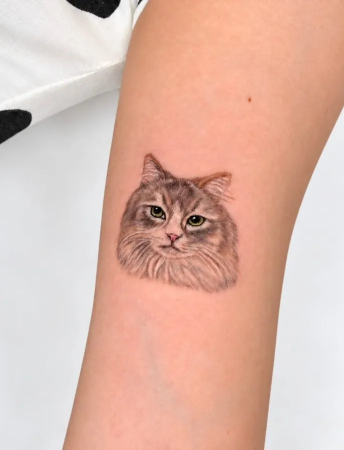 ペットタトゥー専門彫師Takeのリアリスティックの猫のタトゥー（腕）