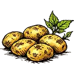 Картопля молода 800 г. ((10–12 шт))