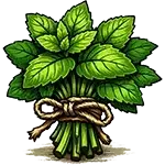 Свіжа м’ята (або кінза — 10–15 г)