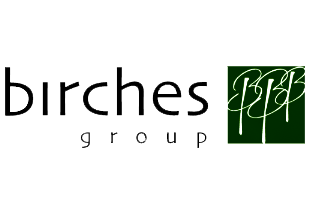 bg logo bg logo