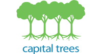 Capital trees-test