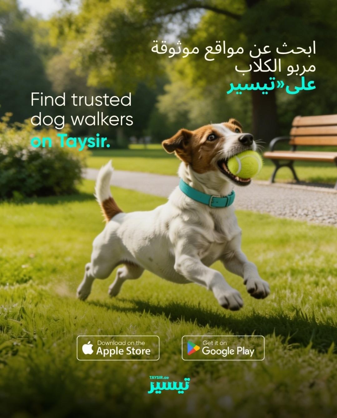 The Secret to a Happy Dog? A Tasker Who Actually Knows Dogs 2