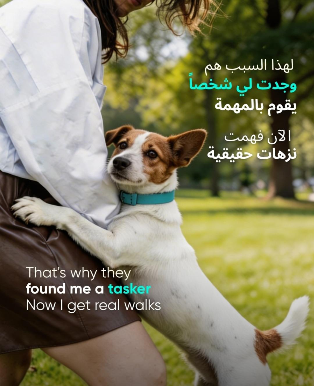 The Secret to a Happy Dog? A Tasker Who Actually Knows Dogs 5