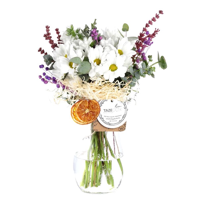 My Sweet Daisy Papatya