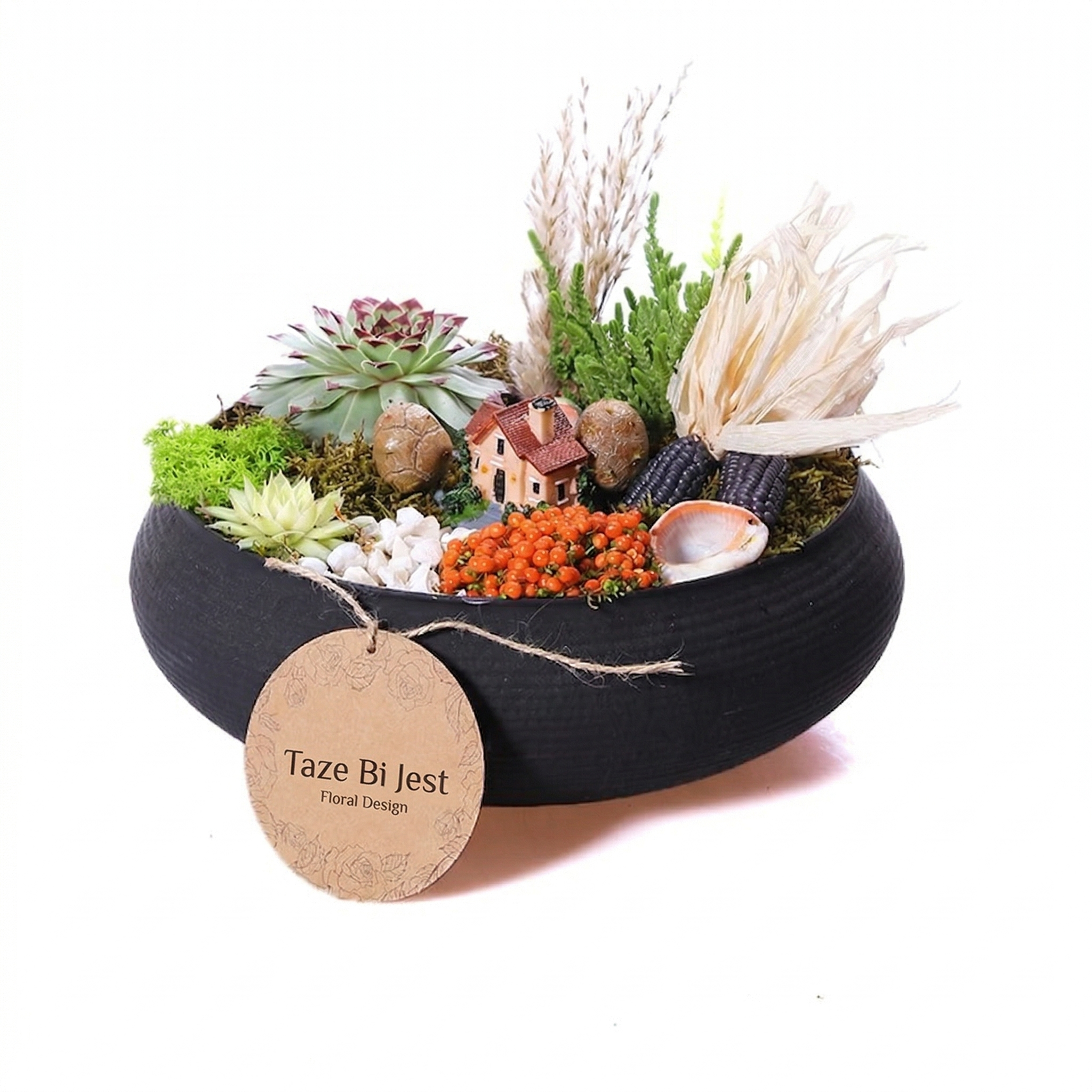 Black Design Terrarium (Teraryum)