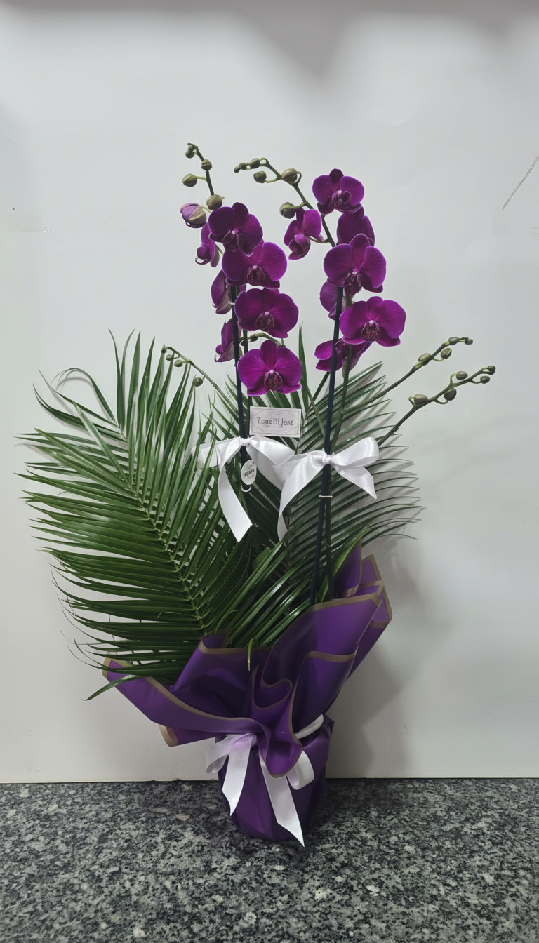 Porselen Saksıda 2 Dallı Mor Orkide