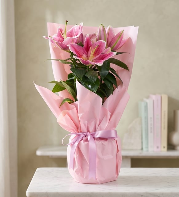 Pembe Buket Kağıtlı Polimer Saksıda Pembe Lilyum