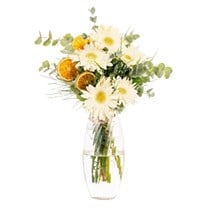 Citrus Melody Beyaz Gerberalar