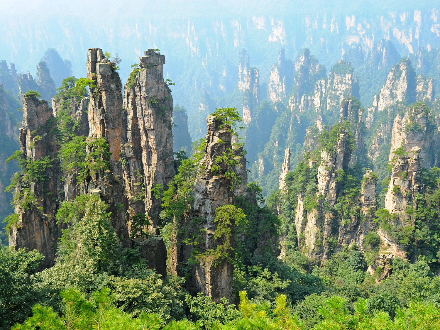 Mengapa Zhangjiajie Menjadi Destinasi Populer di Dunia?