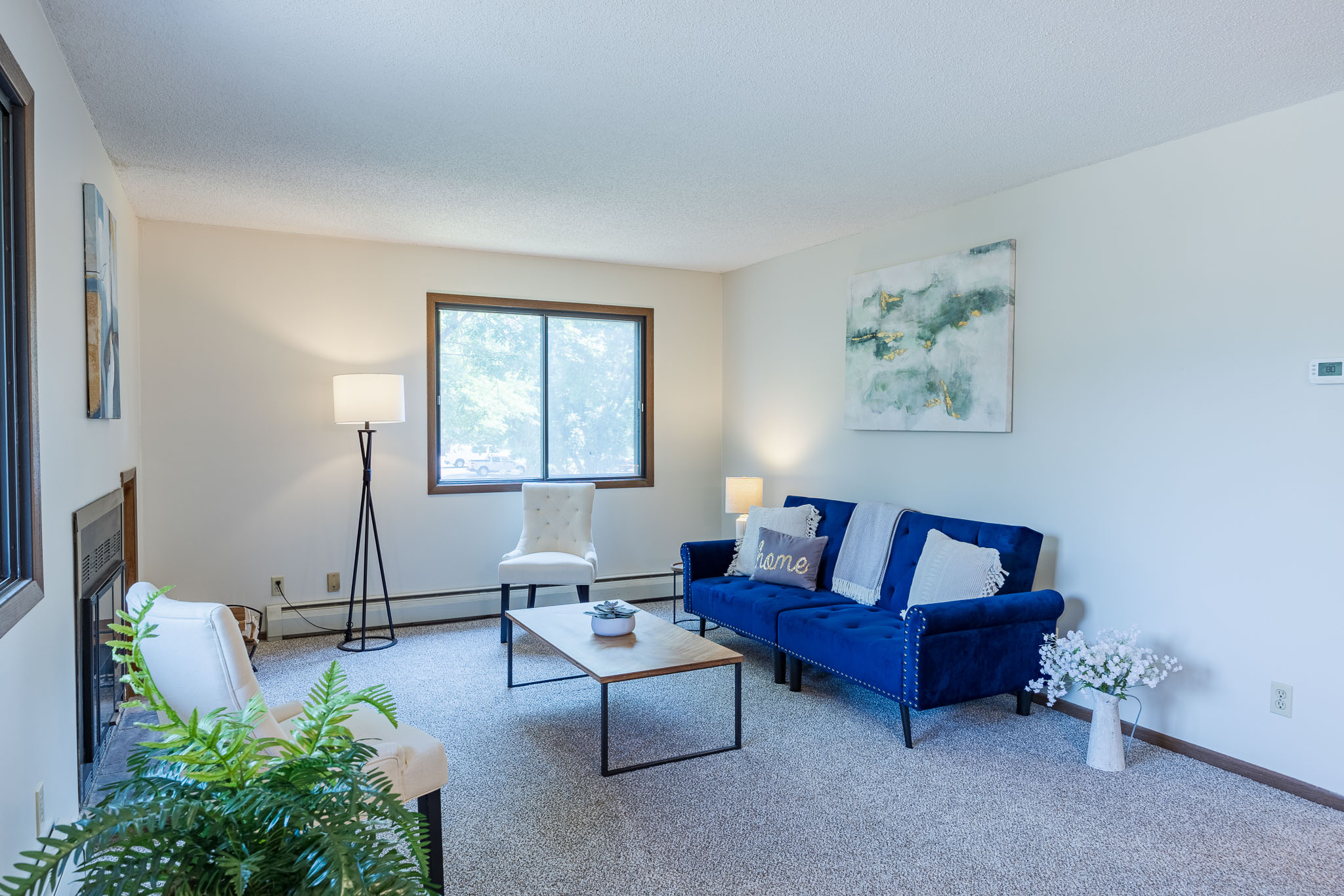 Staged living room with natural light, photographed for a Twin Cities listing