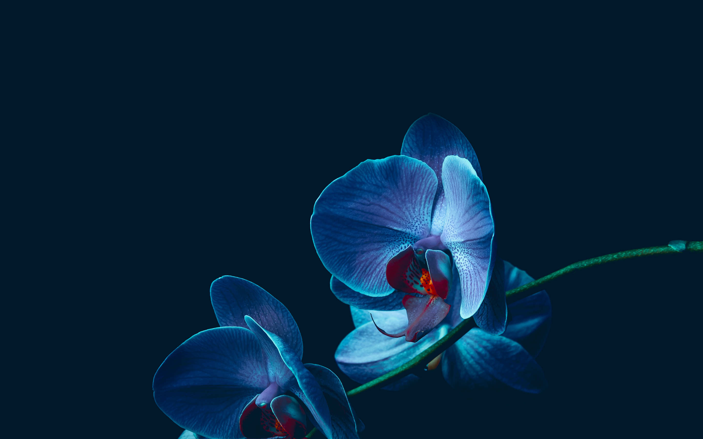 Test!!