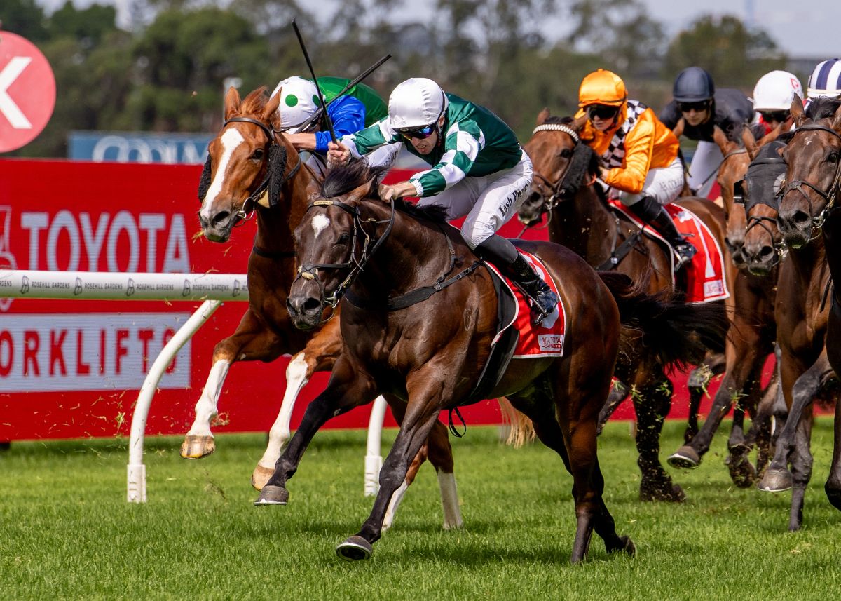 Black Type Fields: Rosehill Gardens, Sportsbet Sandown Hillside ...