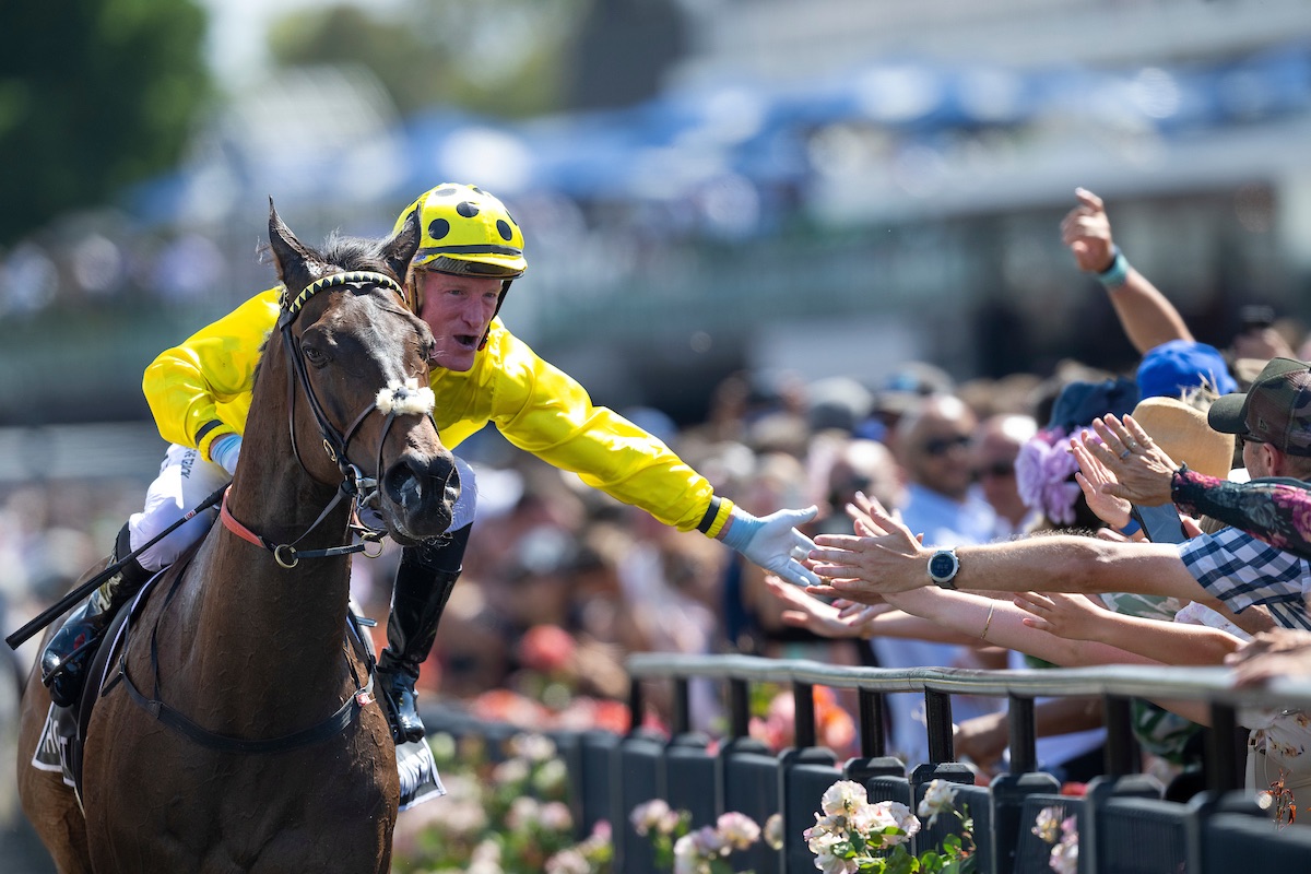 Without A Fight honoured at Victorian Horse Of The Year Awards