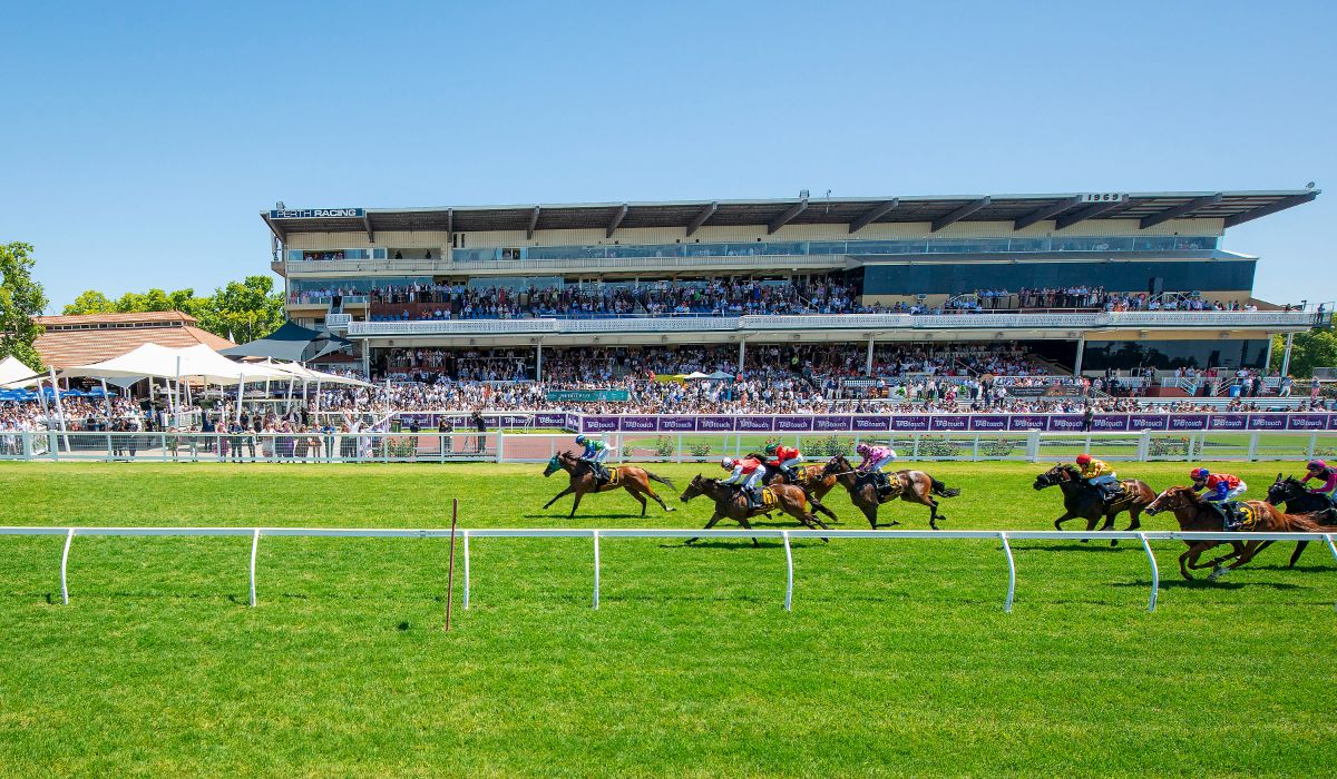 ‘There is a buzz about racing in Perth at the moment, the game is in ...