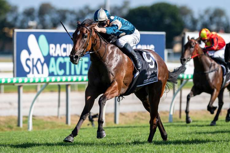 image-assets%2F1orlSoo1pIt3JwbjVy_qrJ8KQ