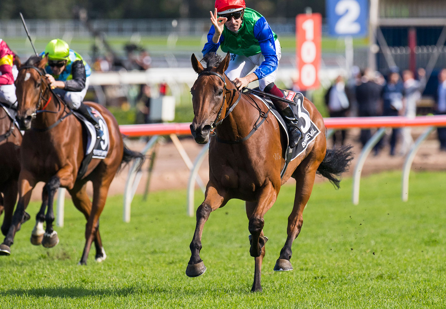 New Zealand Thoroughbred Horse Of The Year Awards