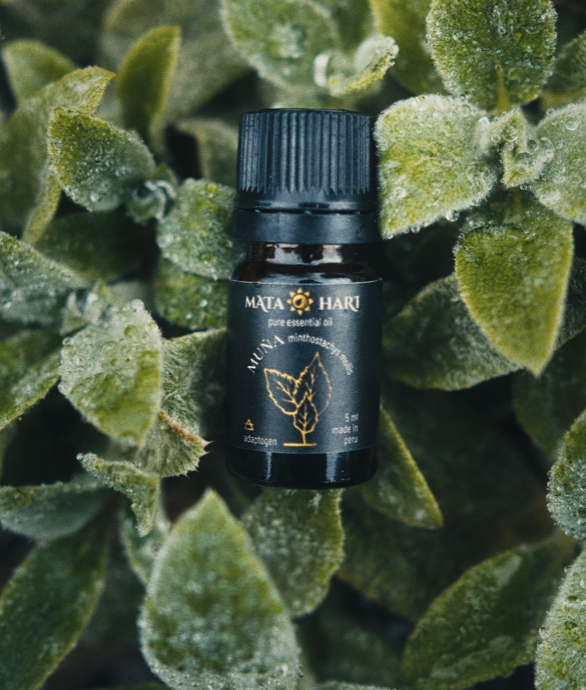 Ефірні олії "Matahari"