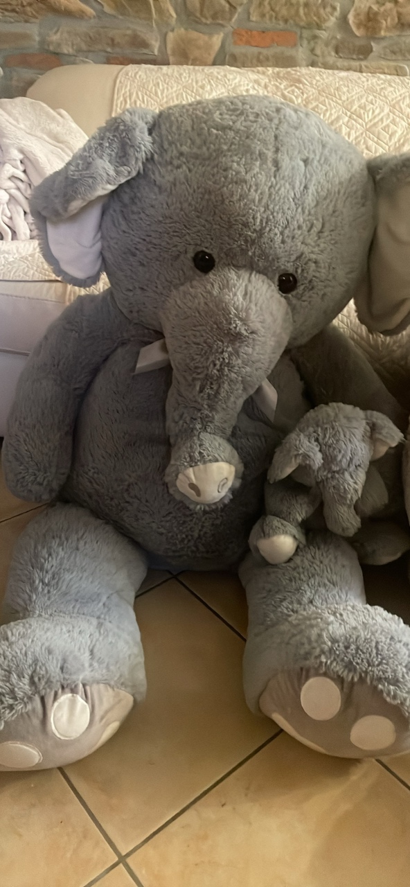 Peluche in ottimo stato grandi — immagine 1