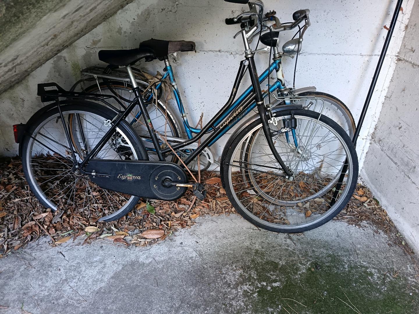 Immagine di bici