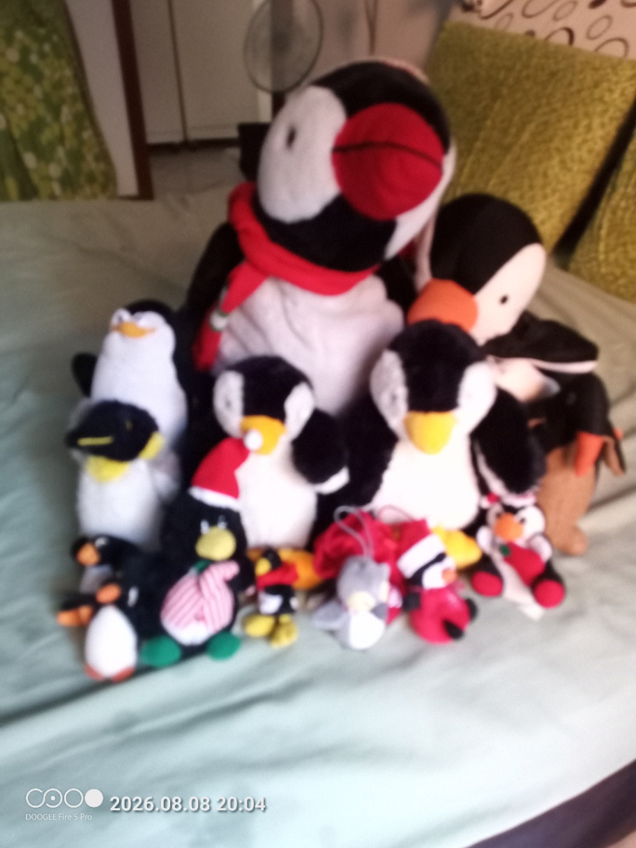 Immagine di Collezione pinguini peluche