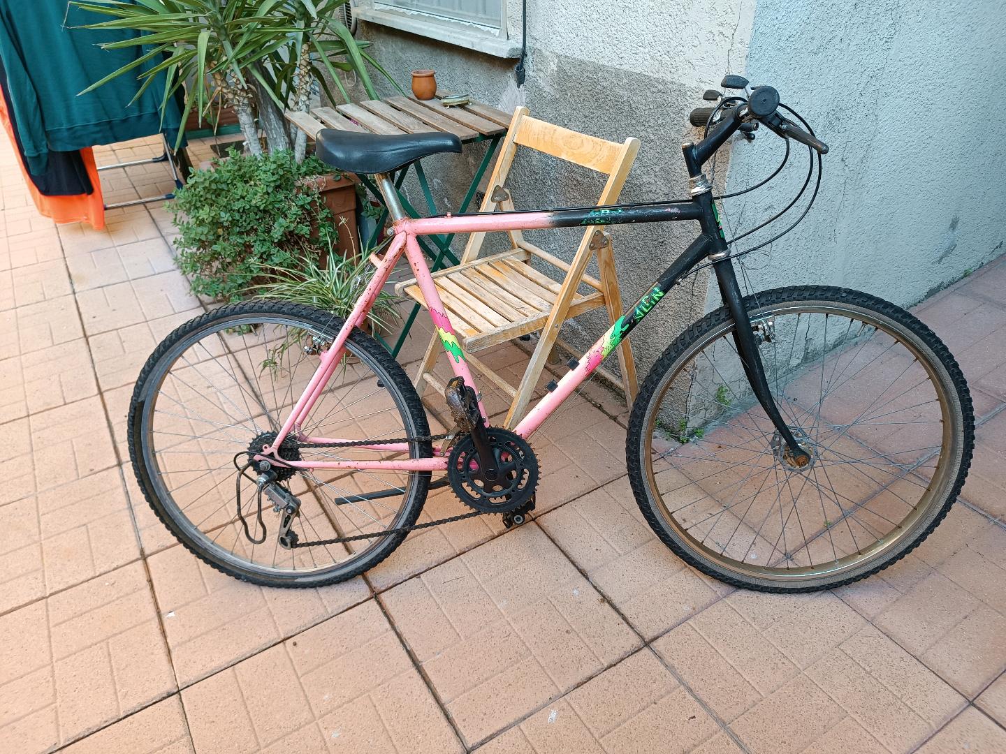 Immagine di Mountain bike da sistemar