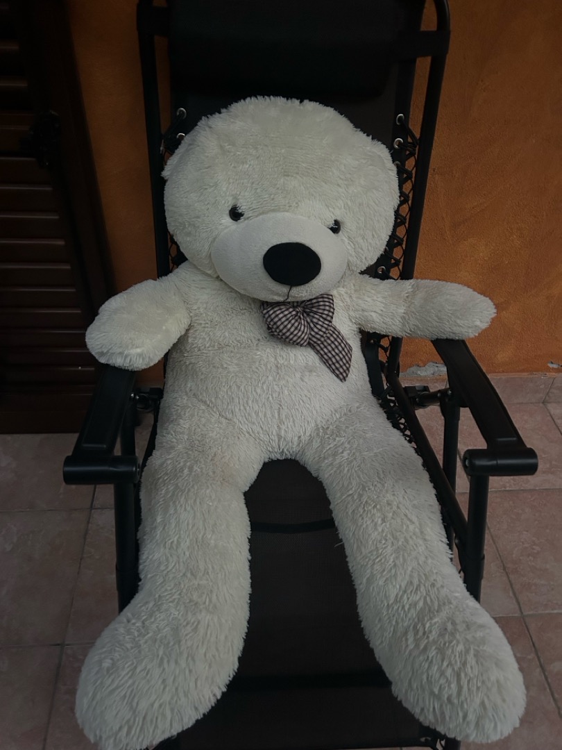 Orso di peluche — immagine 1