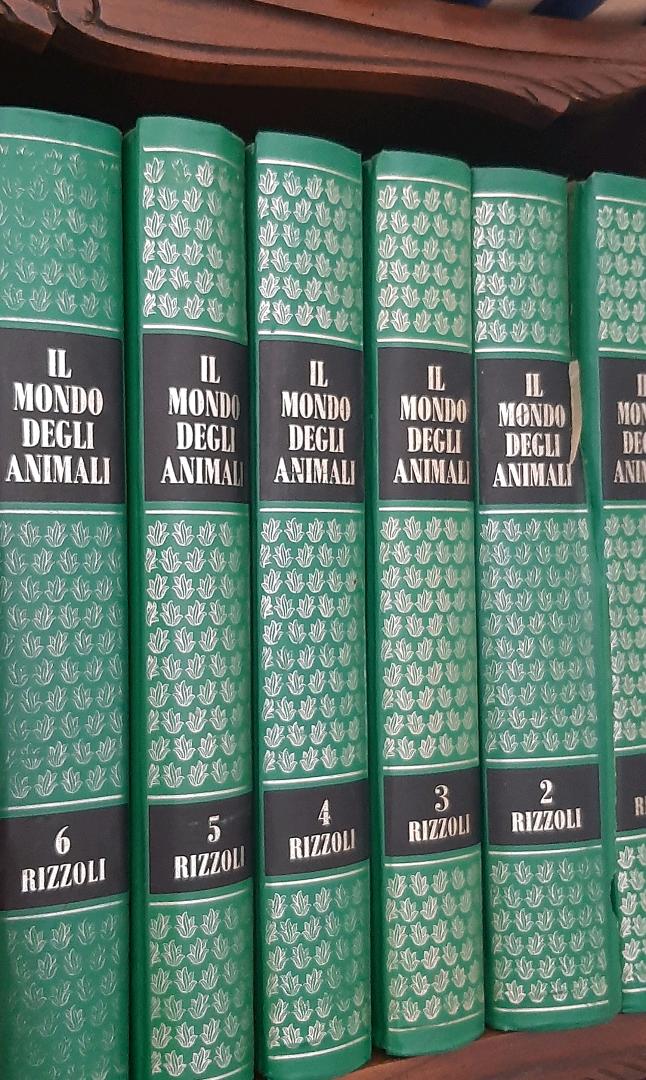 Regalo enciclopedie — immagine 1