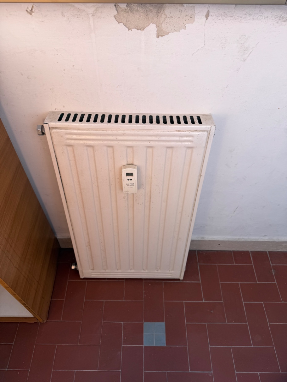 Immagine di Termosifone
