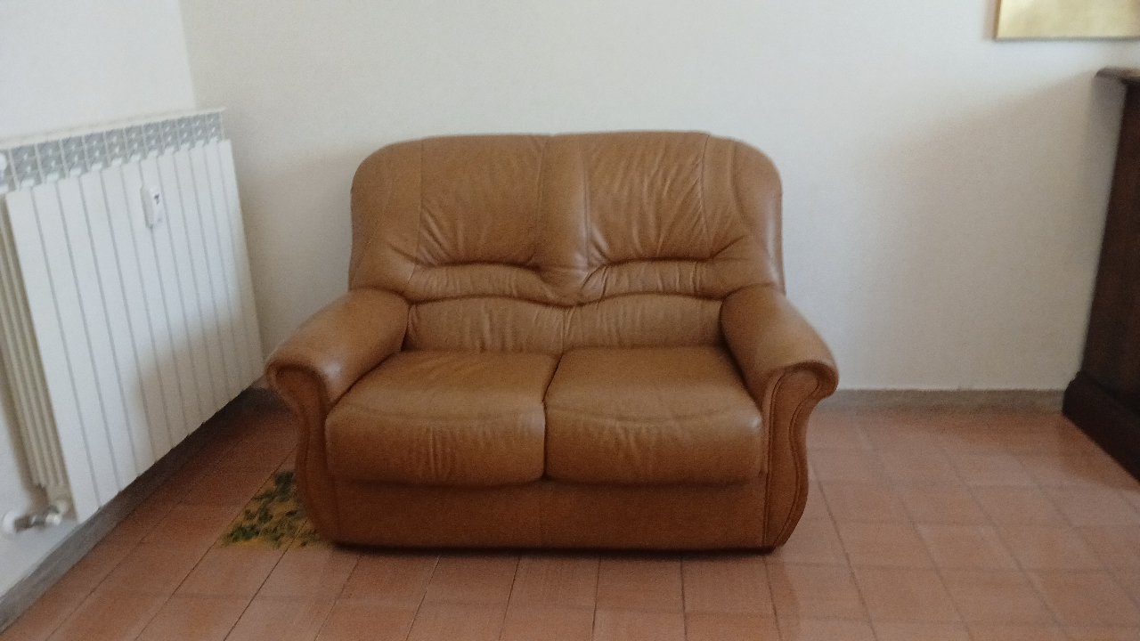Immagine di Divano pelle a 2 posti