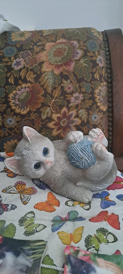 Immagine di gatto+ tris di magneti