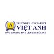 Trường Việt Anh