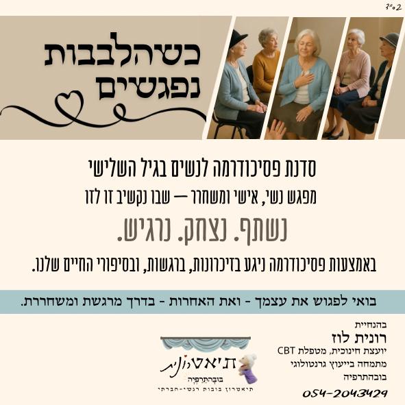 פלאייר ההצגה