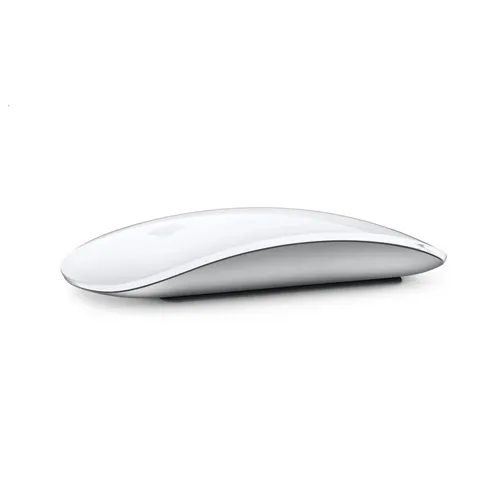 Apple Magic Mouse - 1