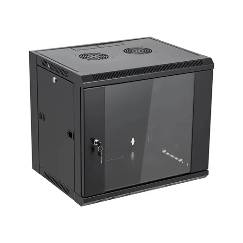 12U 600x450 wall-mount cabinet - 1