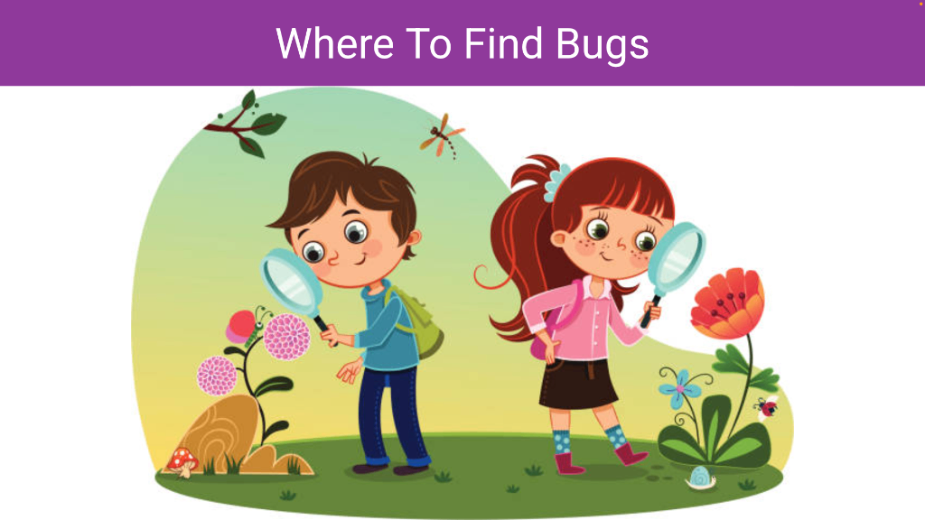 Where To Find Bugs - Become A Debugging Master And Fix Issues Faster
