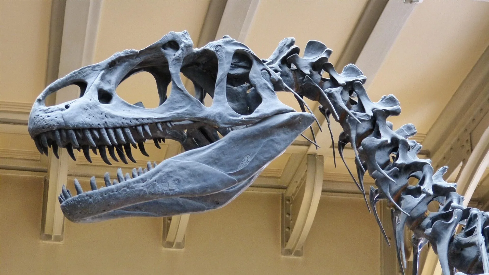 AI DinoTracker app uses machine learning to identify dinosaur footprints with near-expert accuracy