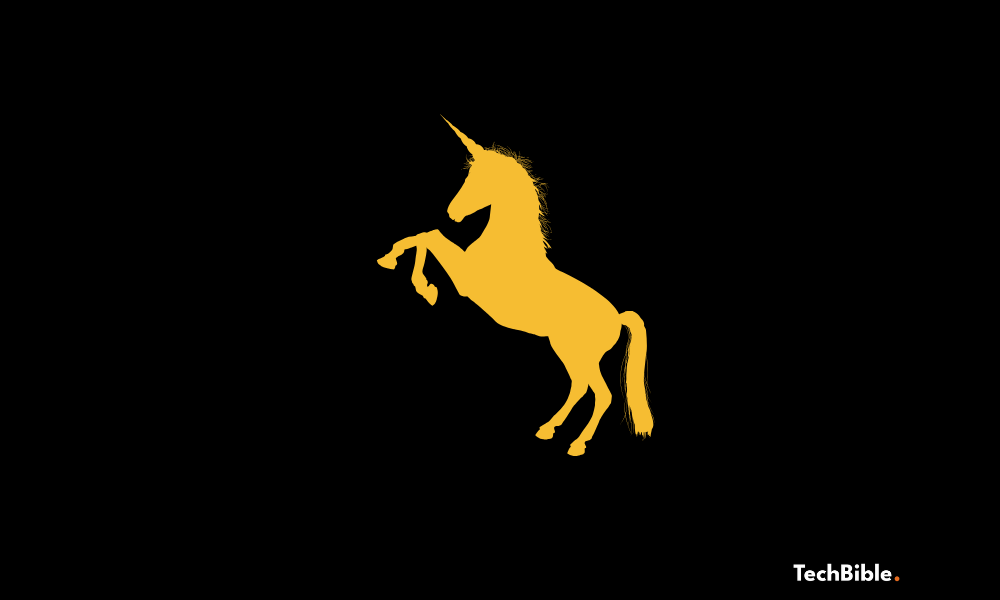 Tech Startups That Became Unicorns in 2024