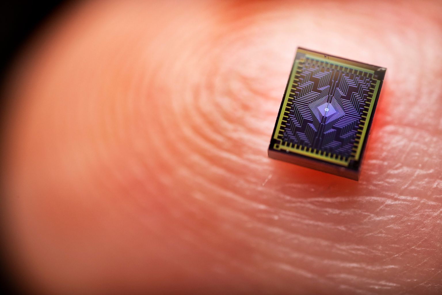 Close-up of a cutting-edge quantum computing processor chip on a fingertip demonstrating advanced technology miniaturization