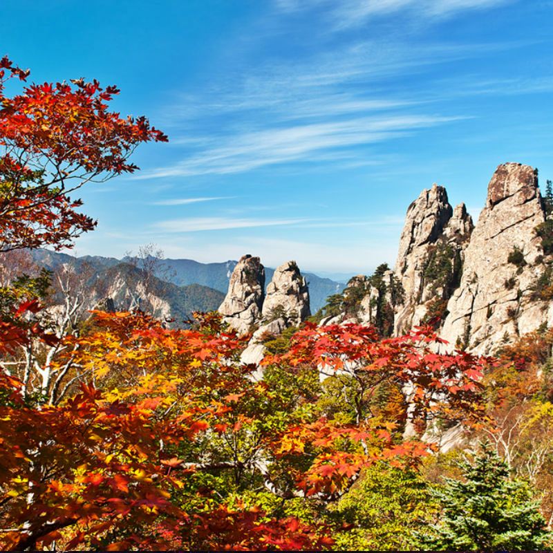 South Korean mountain landscape showcasing vivid autumn foliage with rocky peaks under a clear sky