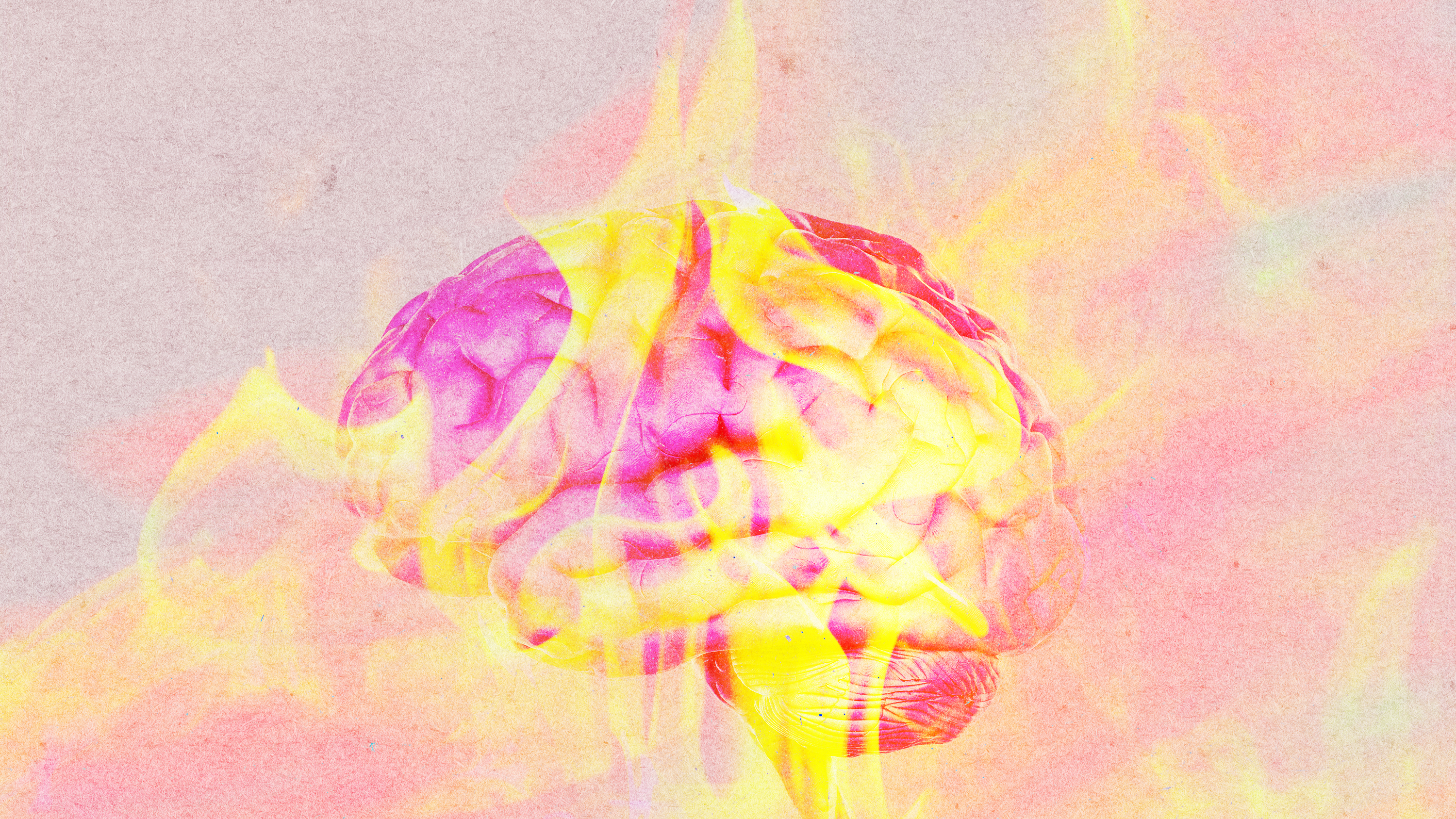 Las olas de calor afectan al cerebro. Los científicos investigan el porqué.