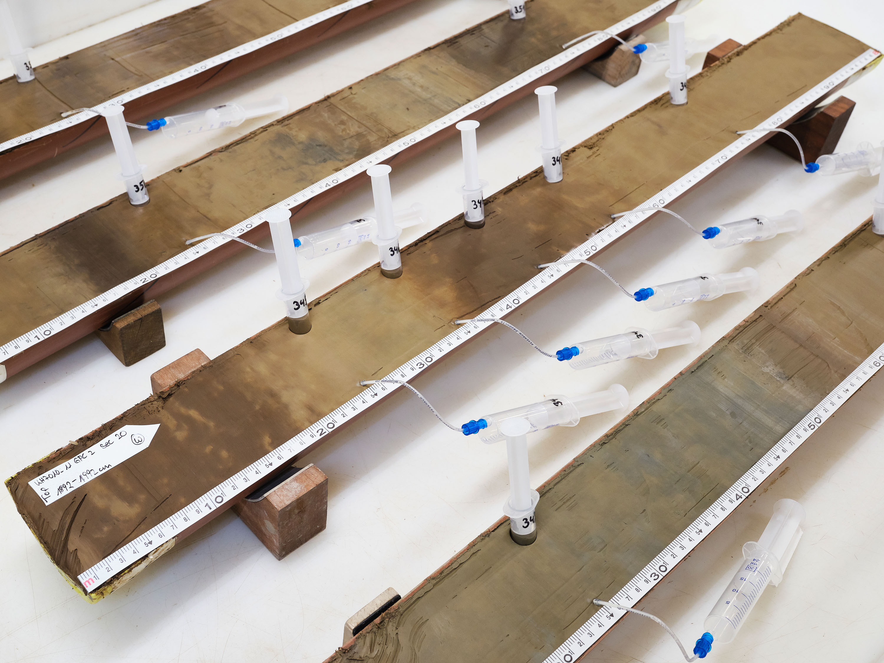 filas de tubos cortados con jeringas de plástico insertadas a intervalos