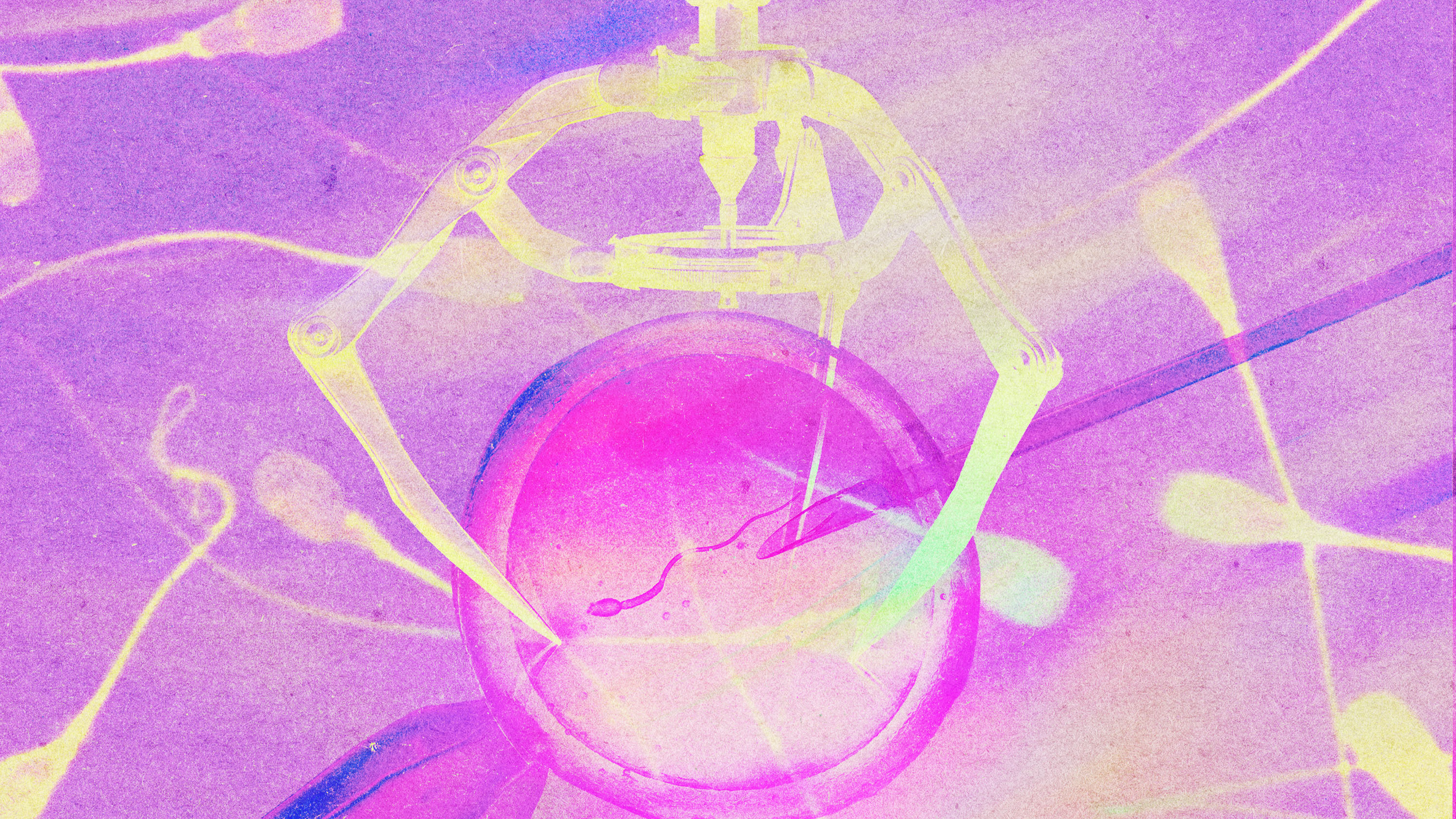 El futuro de la fecundación in vitro