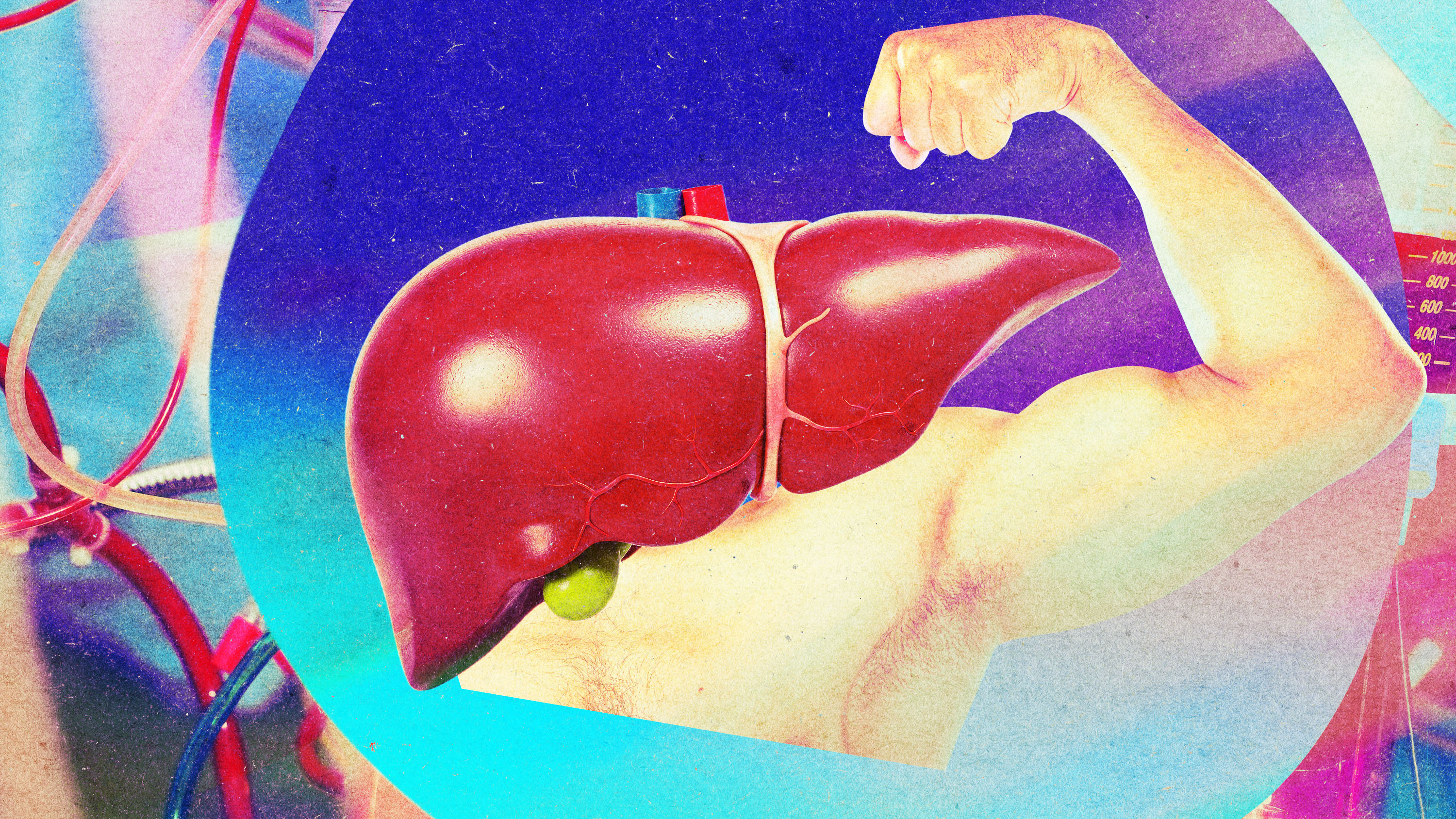Hígados donados pueden rejuvenecerse biológicamente