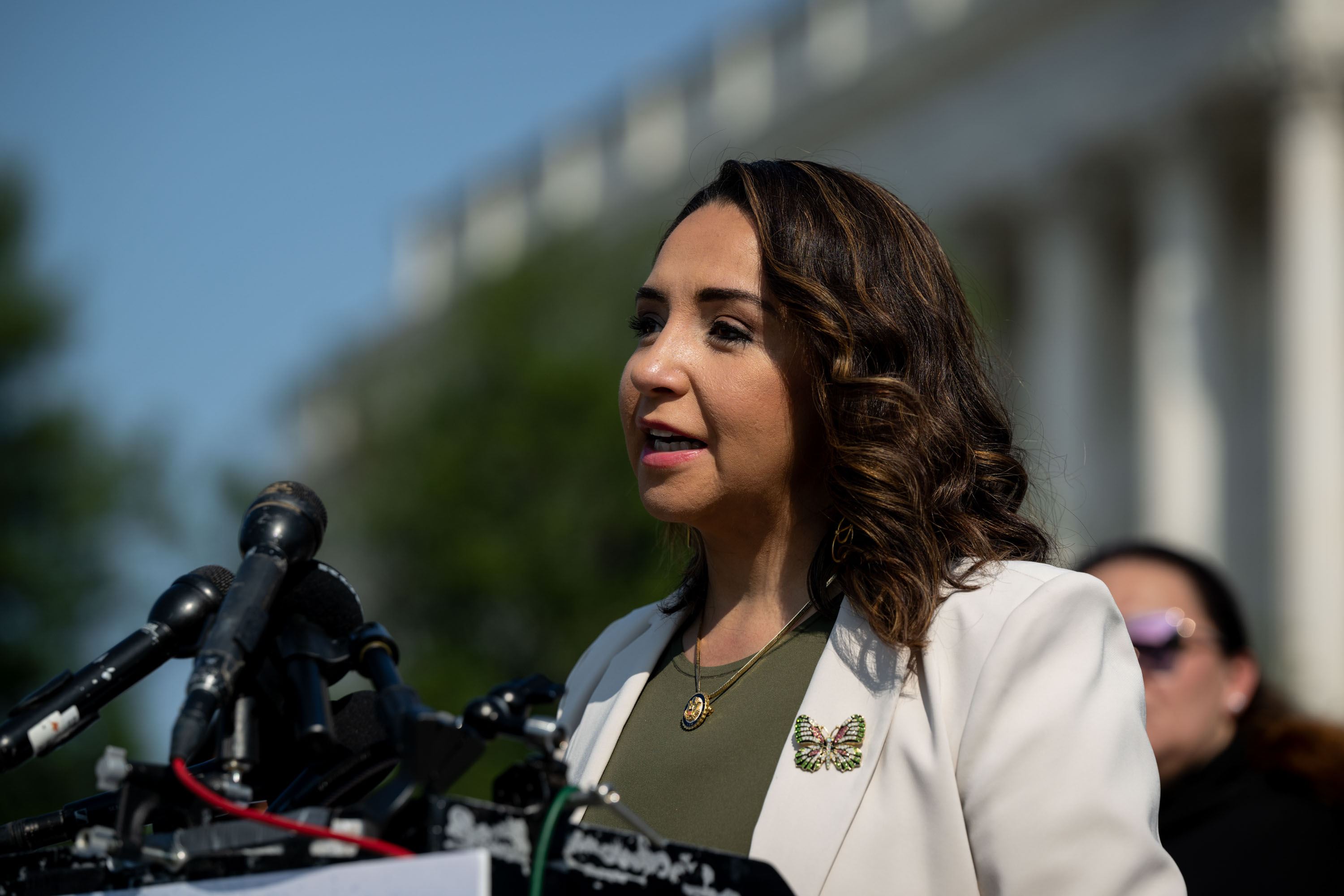 Un representante del Congreso acaba de proponer eliminar el programa de torres fronterizas de Estados Unidos