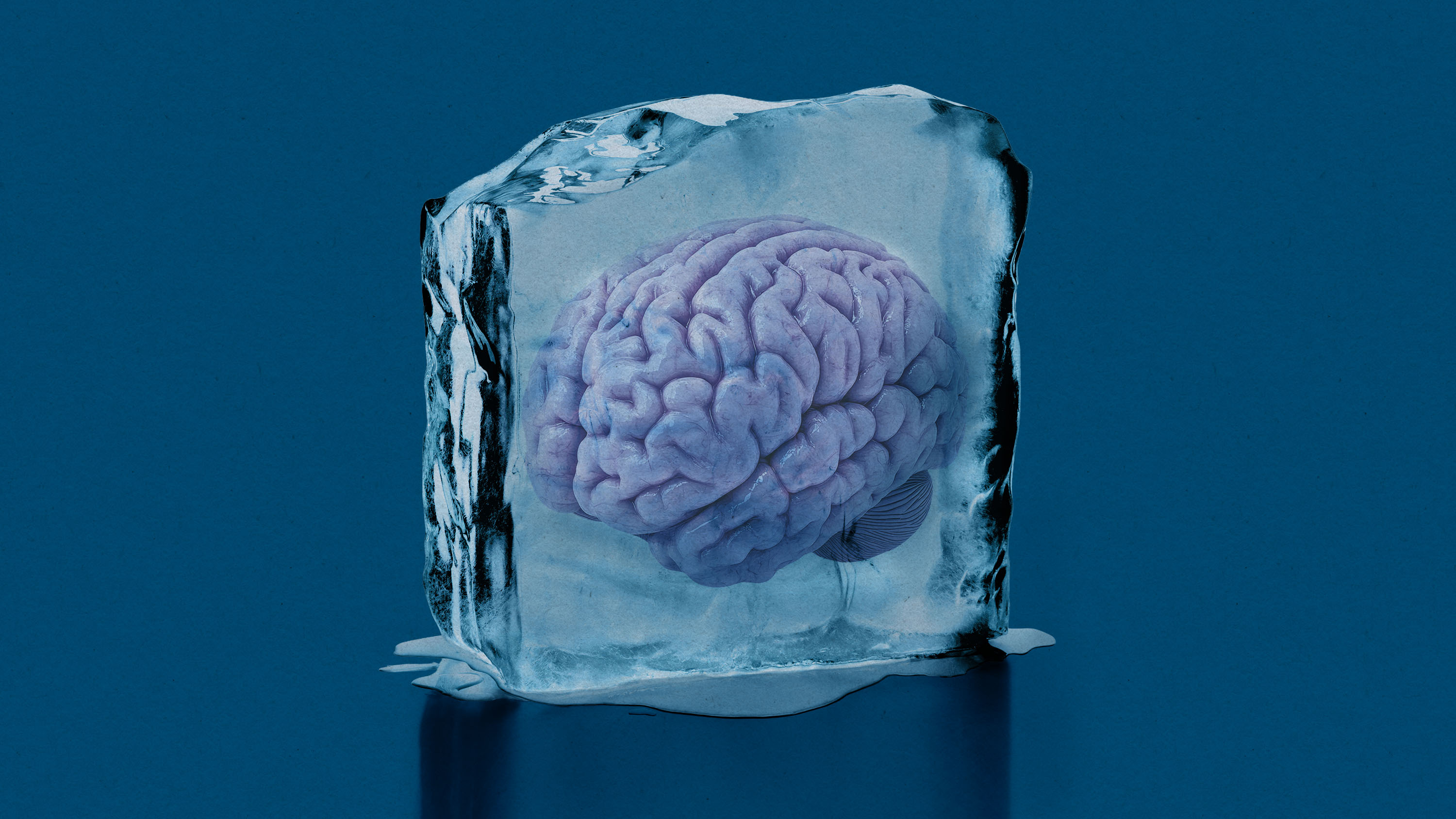 Este científico descongeló y estudió fragmentos del cerebro criopreservado de su amigo