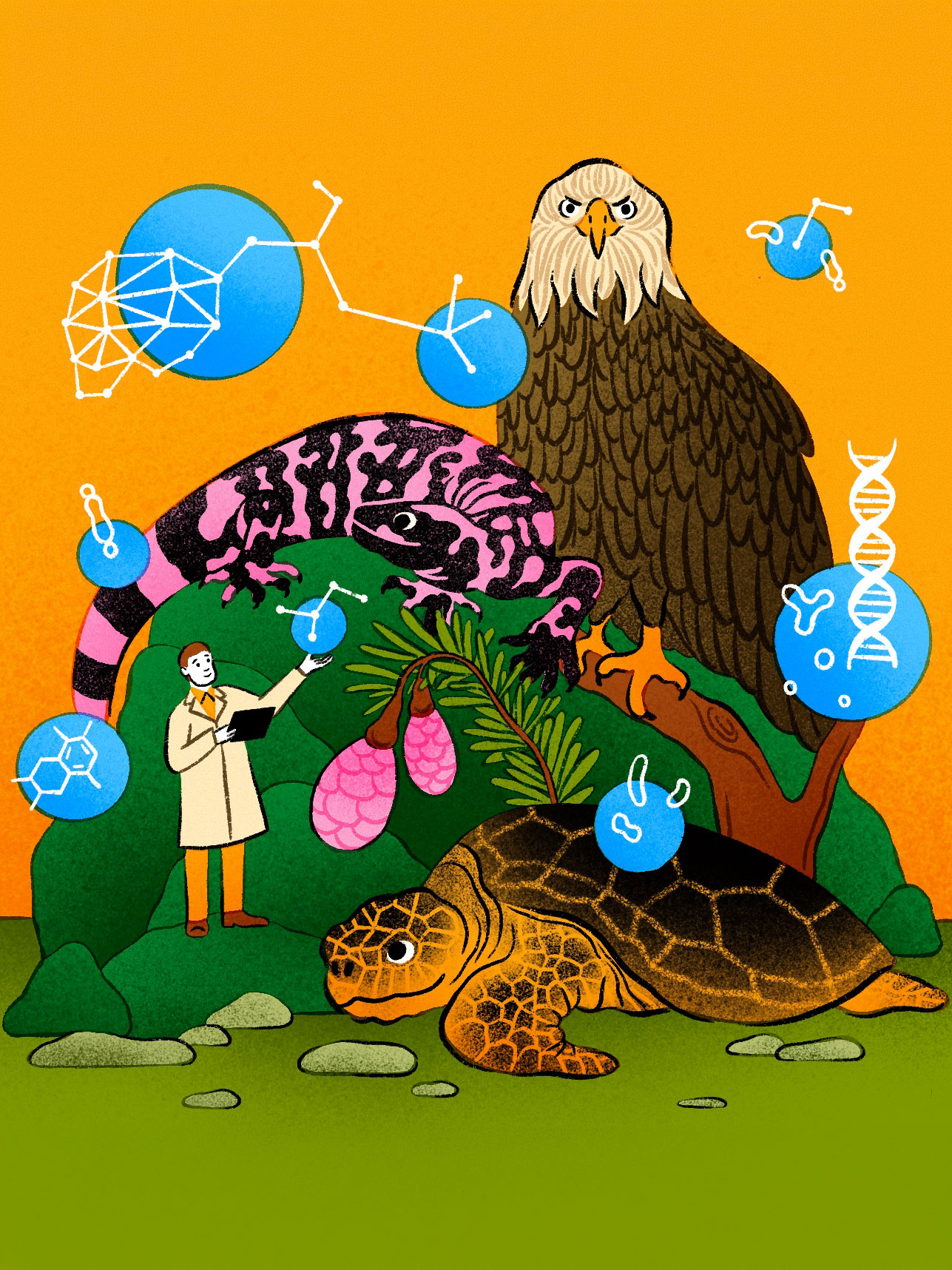 Puestos de trabajo del futuro: Diseñador de fármacos de la naturaleza
