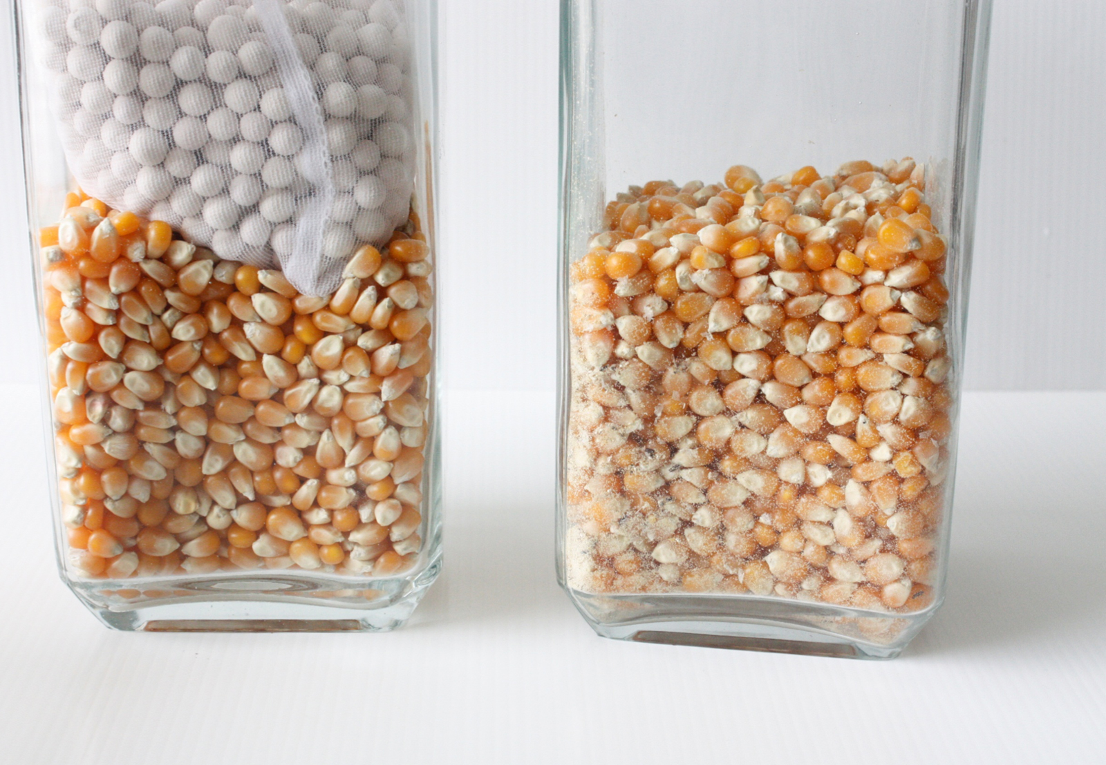 Estas bolitas absorbentes podrían revolucionar la agricultura mundial