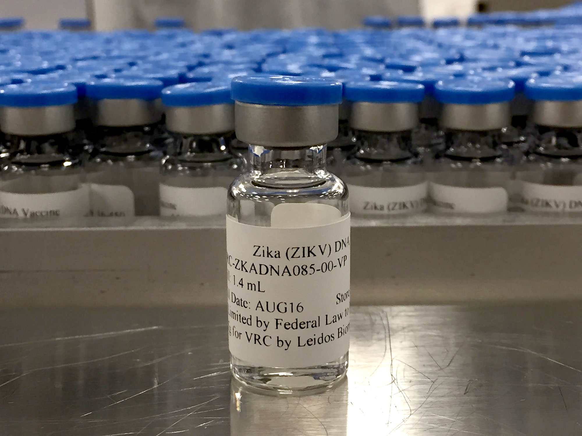 Una prometedora vacuna contra el Zika pasa el filtro para un gran ensayo masivo en EEUU