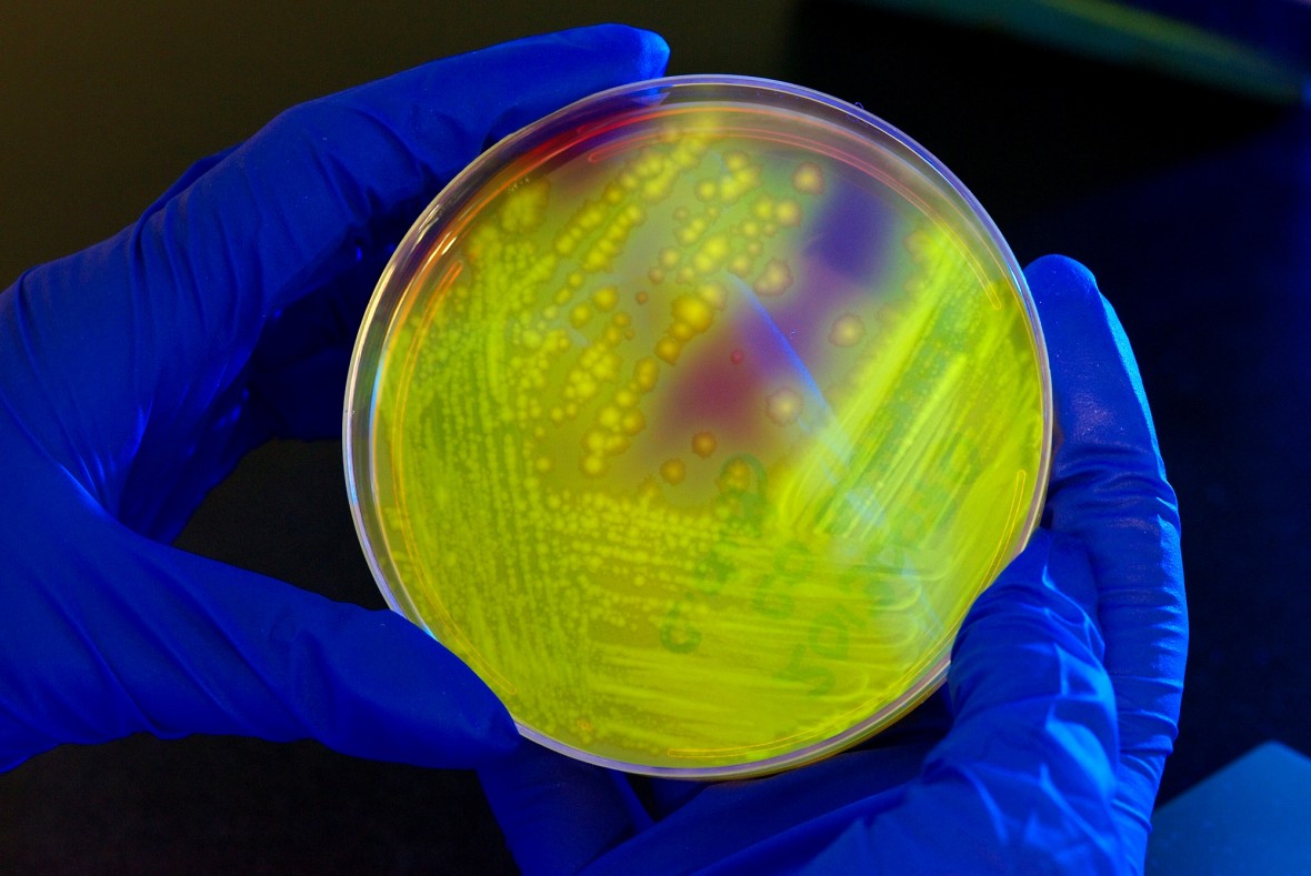 Una pastilla de CRISPR para sustituir los antibióticos